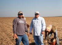 fieldWorkers.jpg