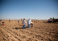 fieldWorkers_02.jpg