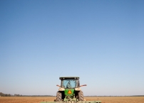 tractorBack_01.jpg