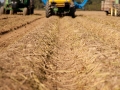 depthofFieldShot_02.jpg