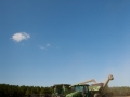 fieldMachines.jpg
