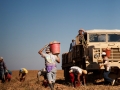 fieldWorkerBack.jpg