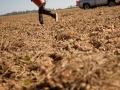 fieldWorkerRuns.jpg