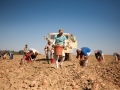 fieldWorkersTruck_02.jpg