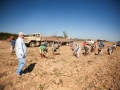 fieldWorkers_01.jpg