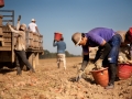 fieldWorkers_03.jpg