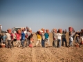 fieldWorkersinLine_01.jpg