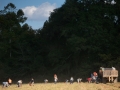 field_01.jpg