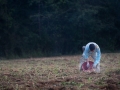 field_02.jpg