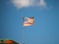 flag.jpg