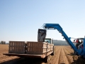 loadingBins_02.jpg