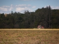 tractor_01.jpg