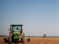 tractors.jpg